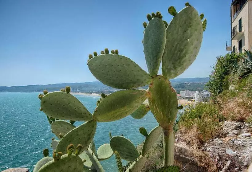 酒店 Palme Gemelle