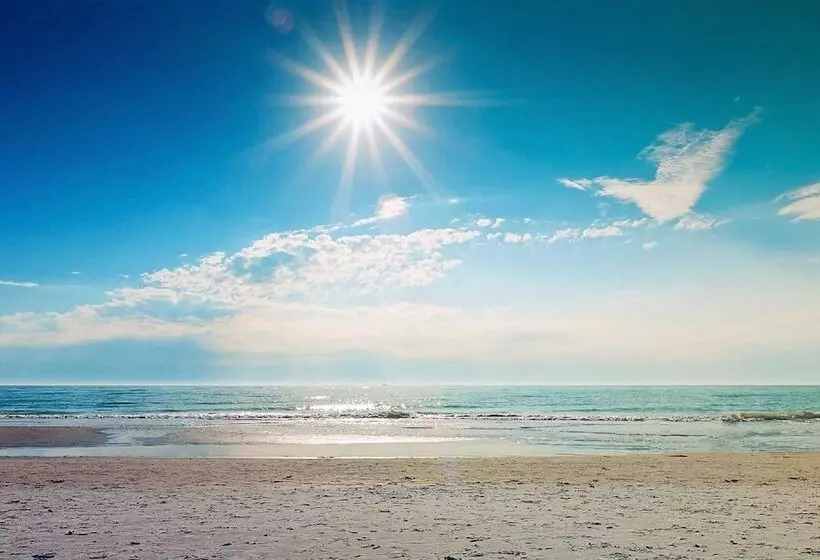 Отель President