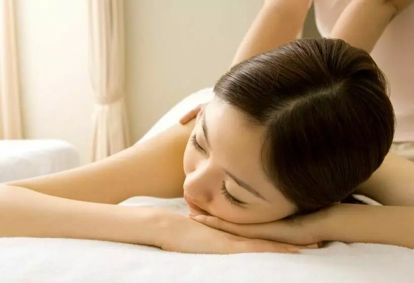 Отель Meitetsu Inuyama