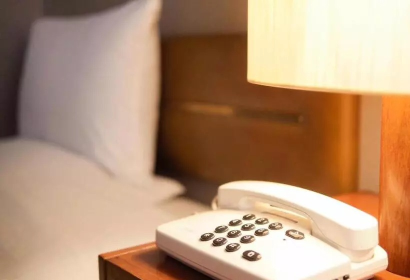 בית מלון כפרי Royal Morioka