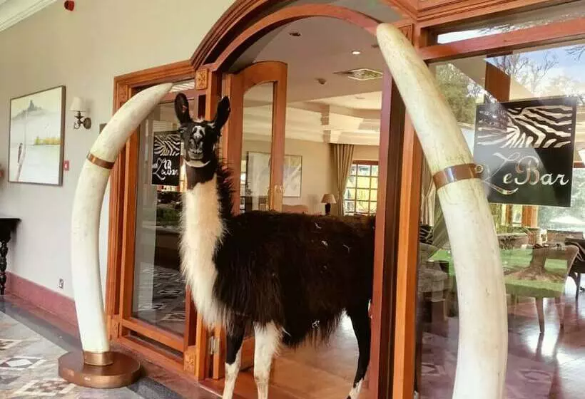 호텔 Fairmont Mount Kenya Safari Club