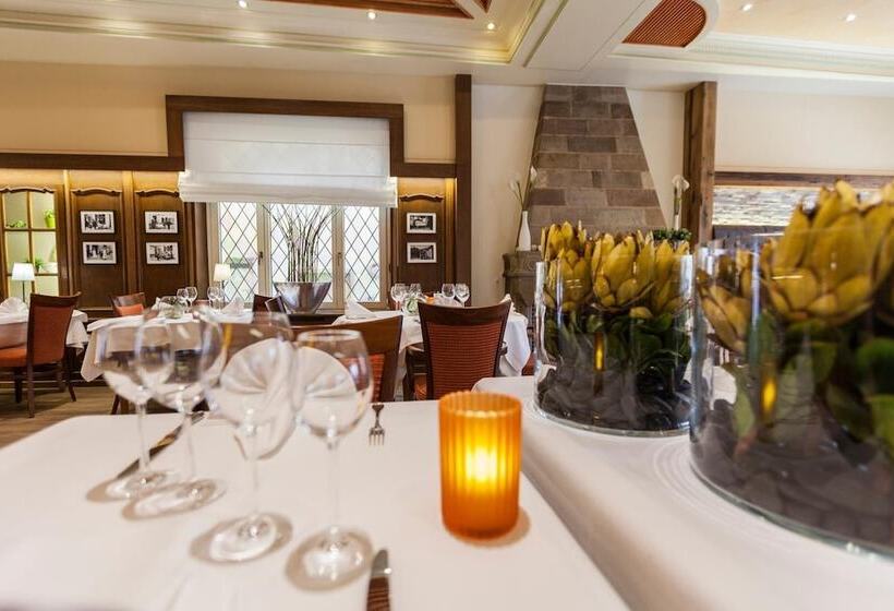 酒店 Hôtel Restaurant Victor Hugo