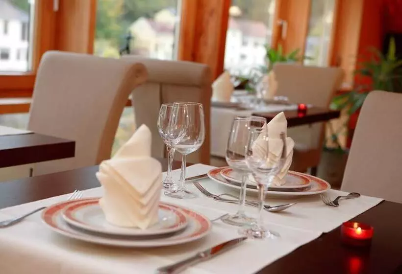 هتل Hôtel   Restaurant  Victor Hugo