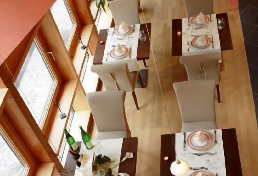 酒店 Hôtel Restaurant Victor Hugo