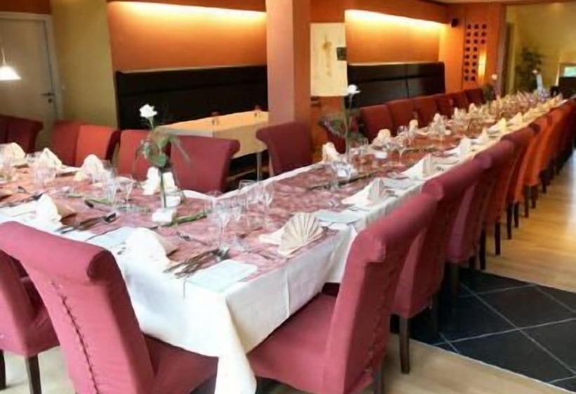 酒店 Hôtel Restaurant Victor Hugo