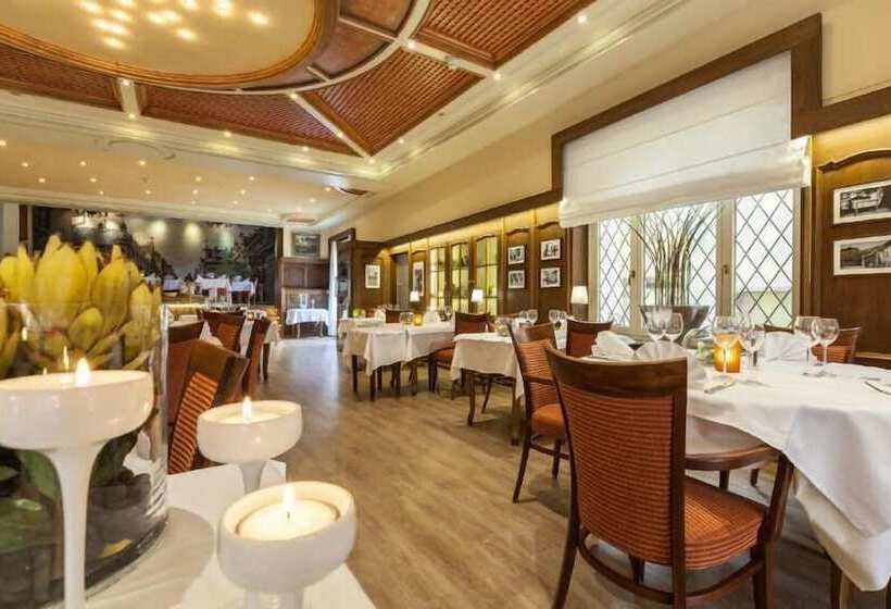 酒店 Hôtel Restaurant Victor Hugo