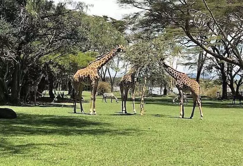 هتل Muthu Lake Naivasha Country Club, Naivasha