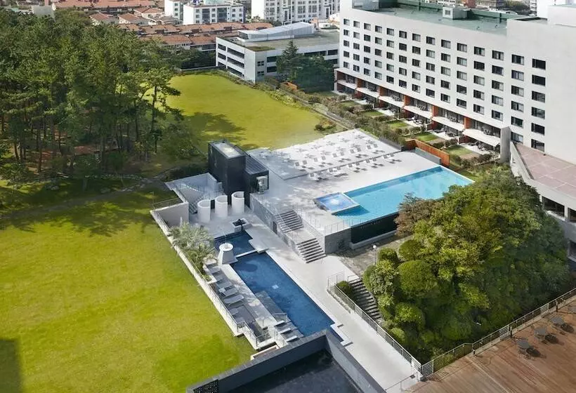 Hotel Maison Glad Jeju