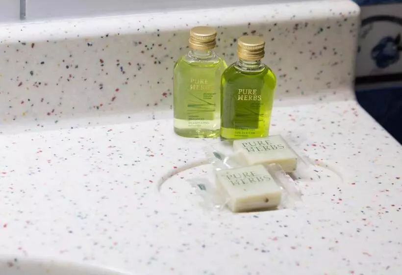 هتل Perrin Former Carlton