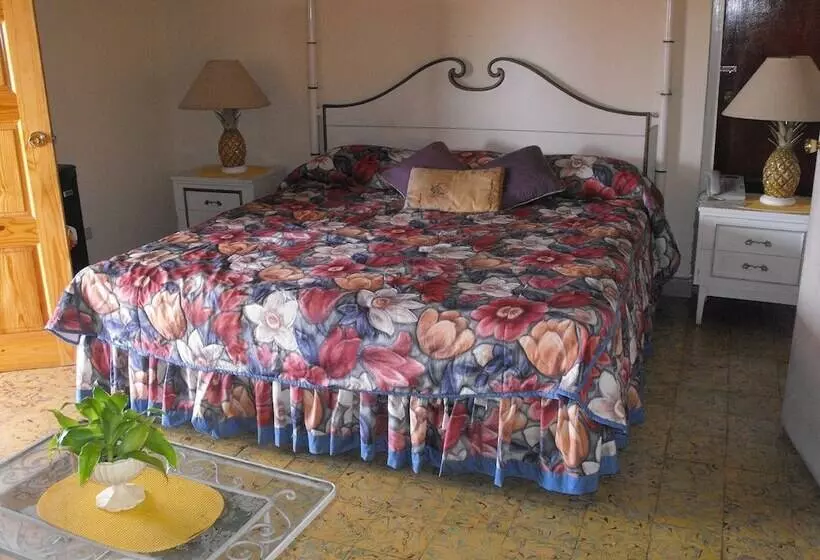 Otel Verney House Resort