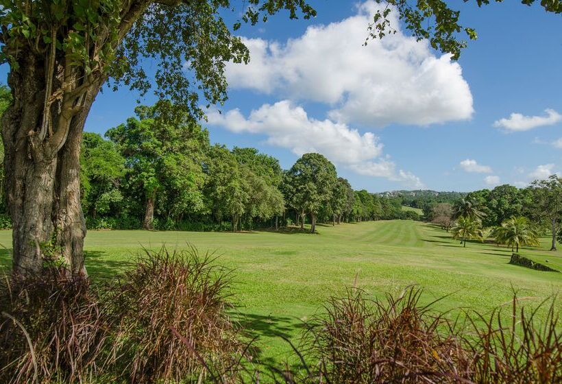 Sandals Ochi Beach All Inclusive Resort Couples Only