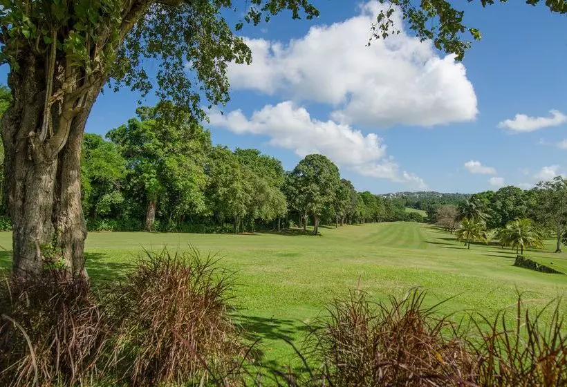 Sandals Ochi Beach All Inclusive Resort  Couples Only