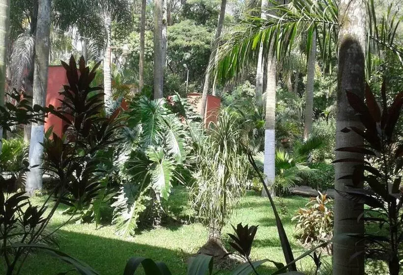 호텔 Fortin De Las Flores