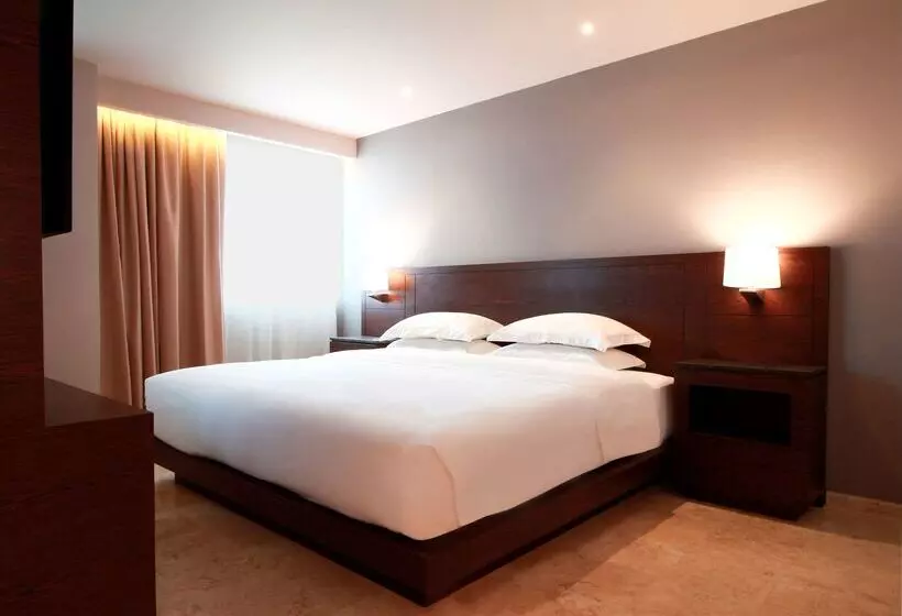 ホテル Hyatt Regency Villahermosa