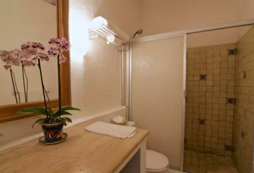 Отель Mercurio   Caters To Gay Men