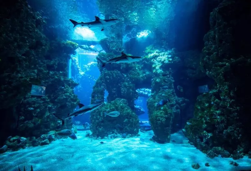 Hotel Hôtel Métropole Monte Carlo