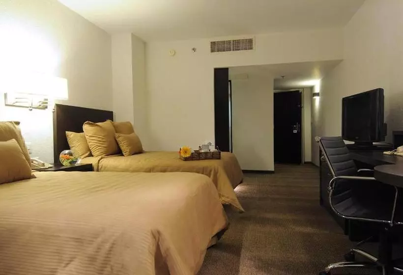 酒店 Mision Torreon