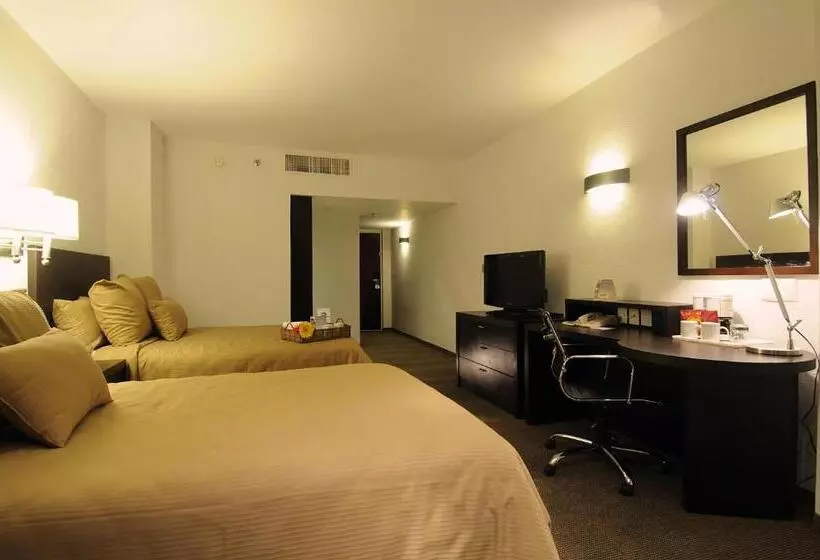 酒店 Mision Torreon