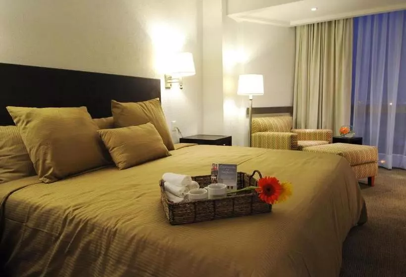 酒店 Mision Torreon