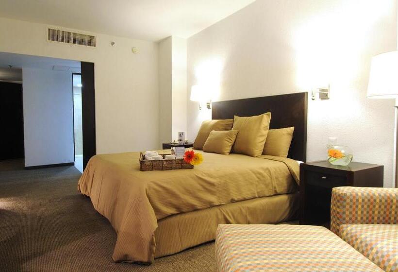 هتل Mision Torreon