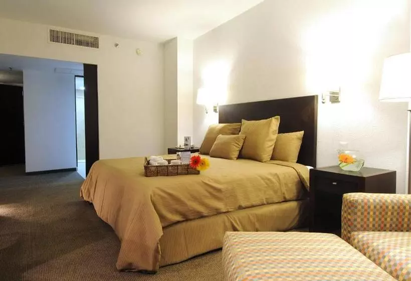 酒店 Mision Torreon