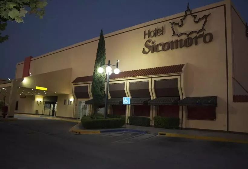 Hotel Sicomoro