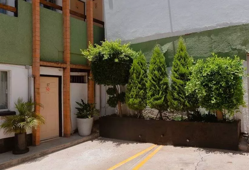 مُتل Zacatecas Courts