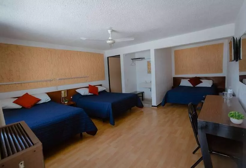 مُتل Zacatecas Courts