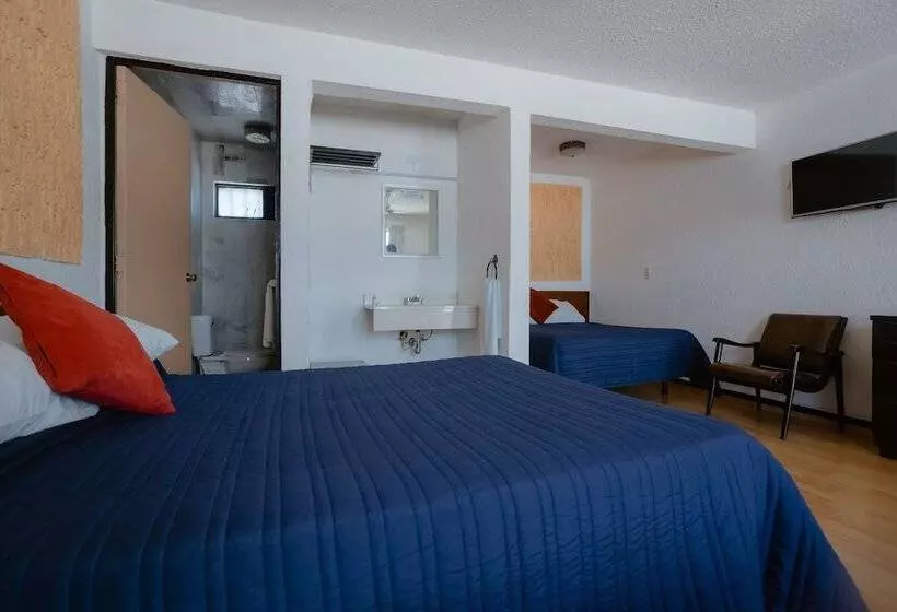 مُتل Zacatecas Courts