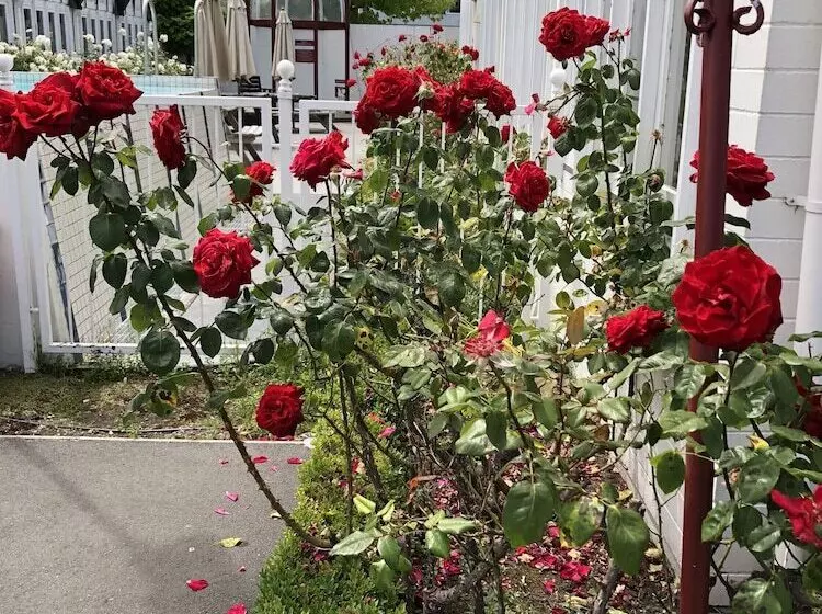 호텔 Camelot Motor Lodge