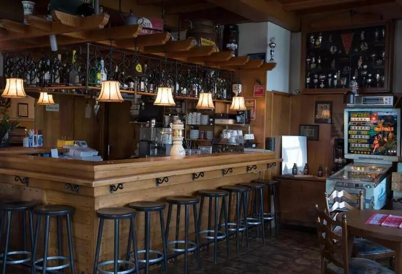 בית מלון כפרי De Lindeboom