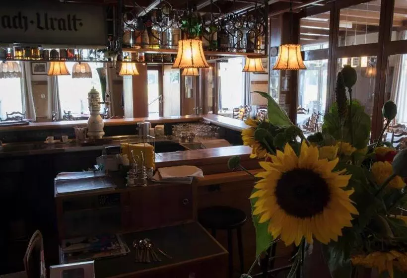 בית מלון כפרי De Lindeboom