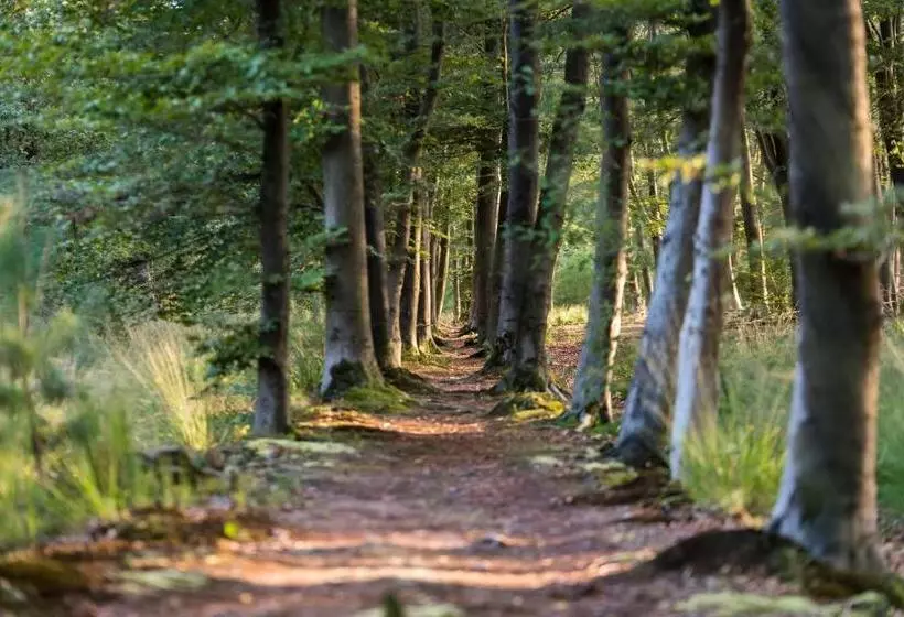 בית מלון כפרי De Lindeboom