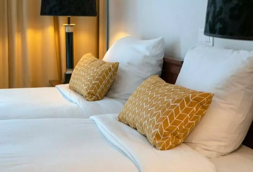 Отель De Blaauwe Leeuw