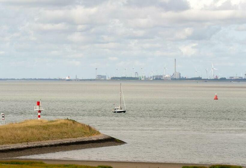 酒店 De Blaauwe Leeuw