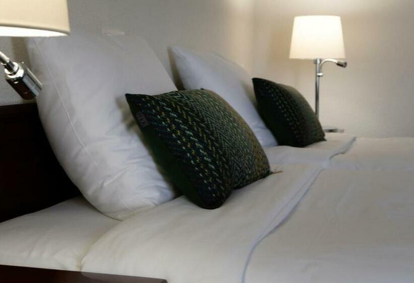 酒店 De Blaauwe Leeuw