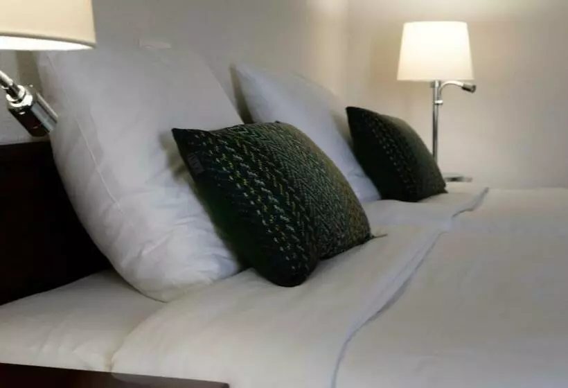 Отель De Blaauwe Leeuw