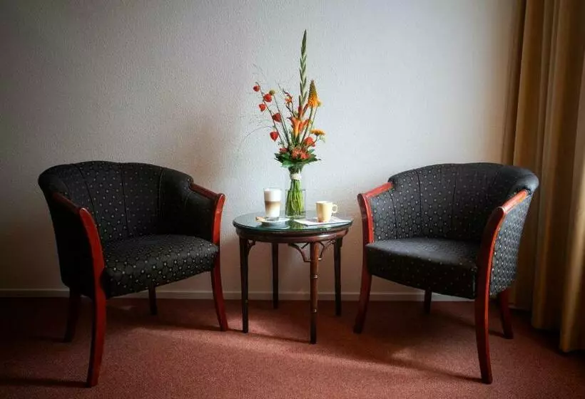 Отель De Blaauwe Leeuw