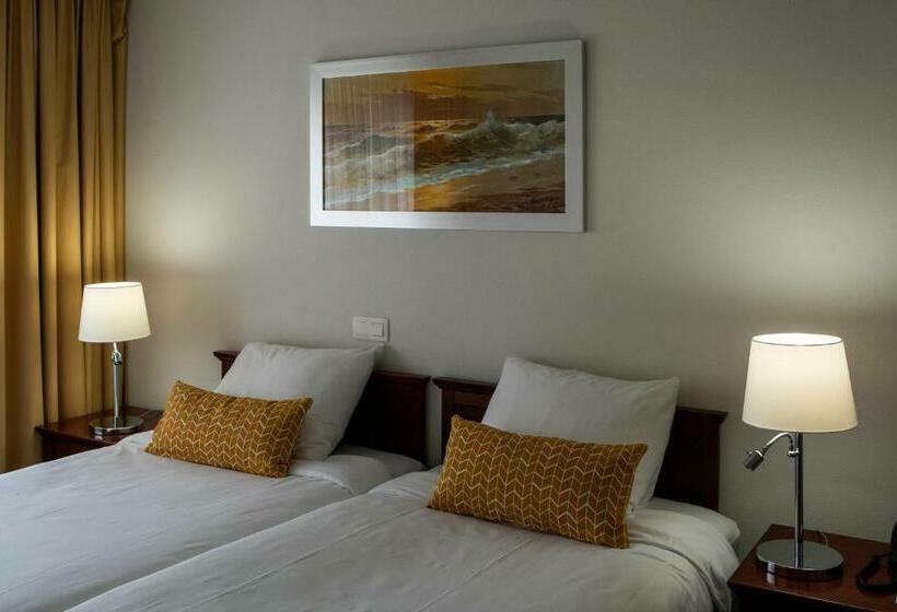 酒店 De Blaauwe Leeuw