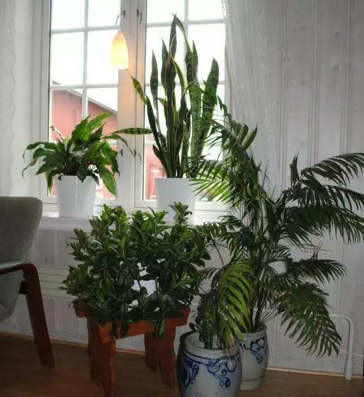 Hotel Grong Gård Guesthouse