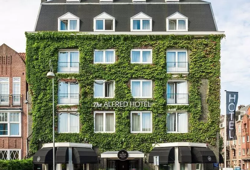 هتل The Alfred