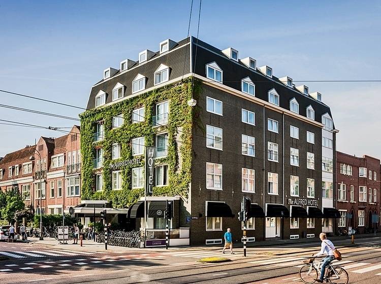 فندق The Alfred