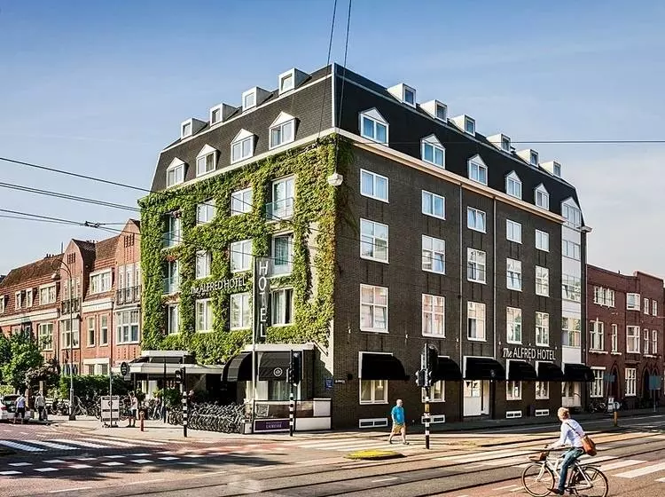 Отель The Alfred