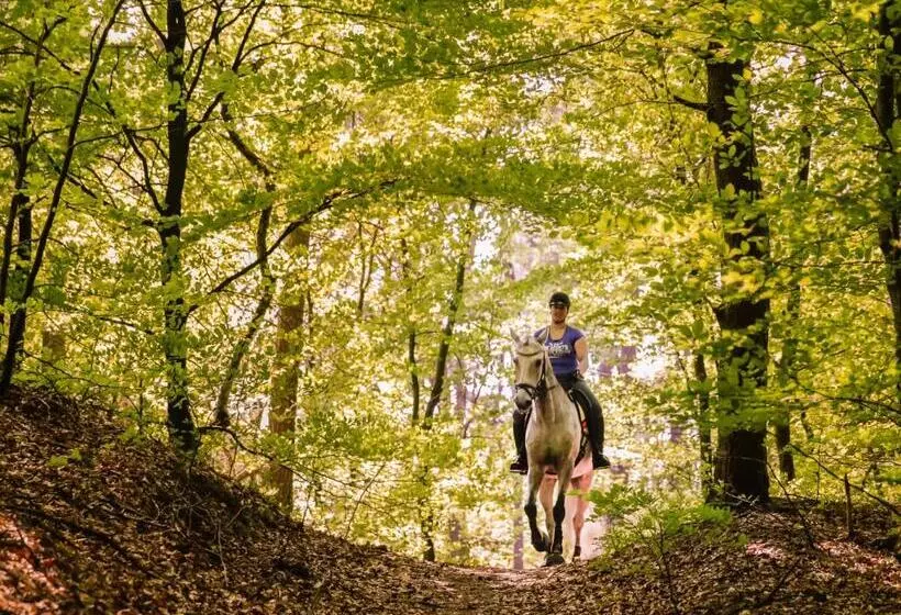 Relais & Chateaux Hotel Landgoed Het Roode Koper