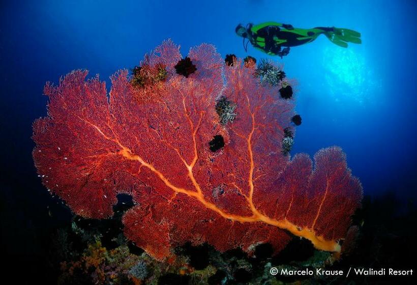 Walindi Plantation Resort