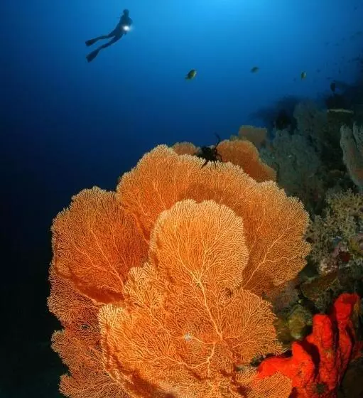 Walindi Plantation Resort