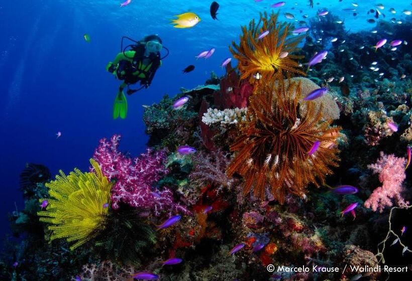 Walindi Plantation Resort