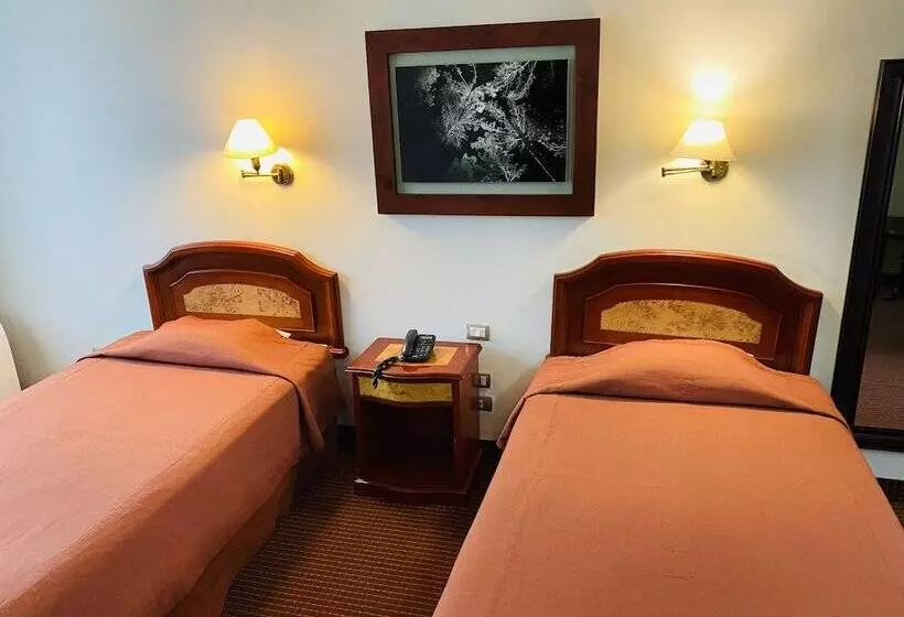 فندق Continental