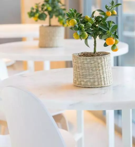 Отель Ozadi Tavira