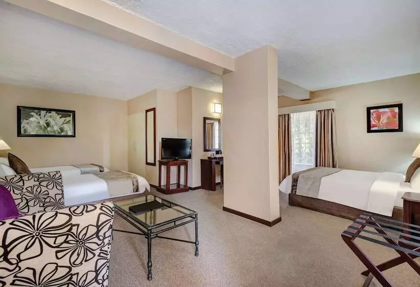 ホテル Hazyview Sun